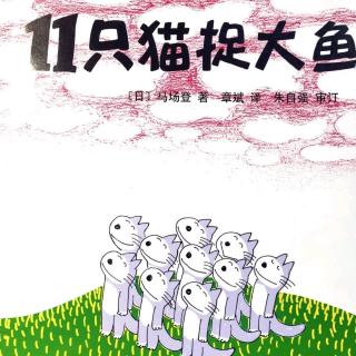 《11只猫捉大鱼》～糖糖妈妈