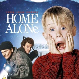 Home Alone D1