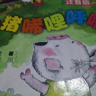 小猪唏哩呼噜