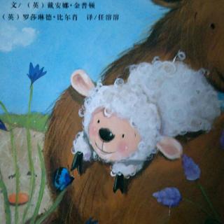 袋鼠宝宝小羊羔2