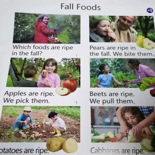 Fall Foods