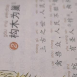 《构木为巢》