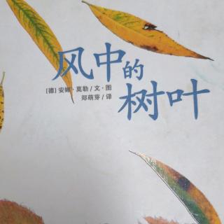 绘本故事《风中的树叶》