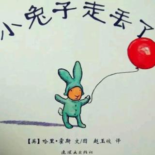 小兔子🐰走丢了