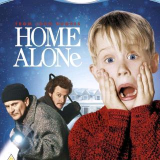 Home Alone D2