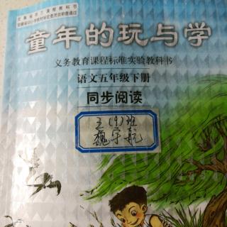 同步阅读----草原八月末