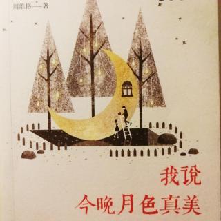 《我说今晚的月色真美 你说是的—1、戏子出将》——周维格