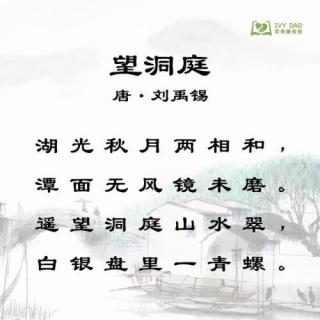 古诗《望洞庭》