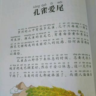 中国寓言故事-孔雀爱尾