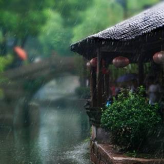 多情自古江南雨