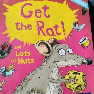 绘本Get the rat
