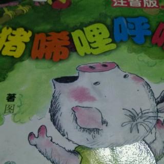 小猪唏哩呼噜