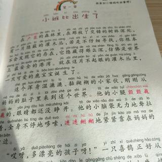 小班比出生了