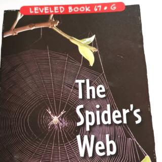 江尚玥—The Spider's Web