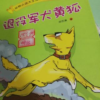 退役军犬黄孤