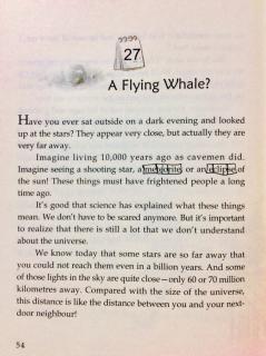 4-27 🐳A Flying Whale？