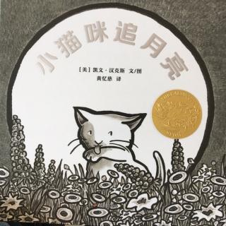 小猫咪追月亮