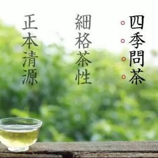斯塾「四季问茶」白茶-黄茶