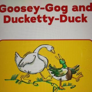 goosegogandduckettyduck