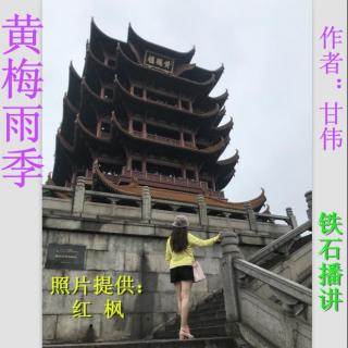 《黄梅雨季》作者：甘伟；铁石播讲