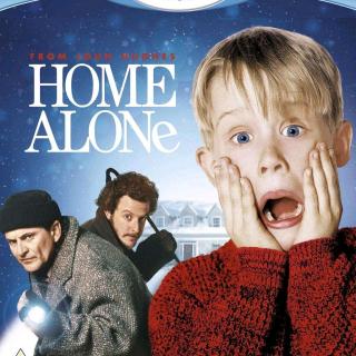 Home Alone D4