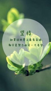 张瑞奇《化肥》