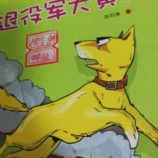 退役军犬黄狐