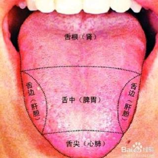 什么是舌诊？