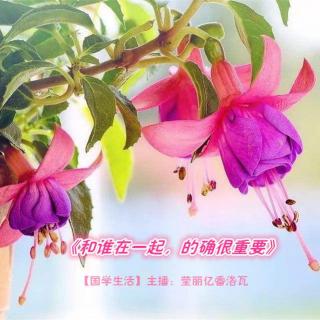 《和谁在一起 的确很重要》主播：莹丽亿番洛瓦