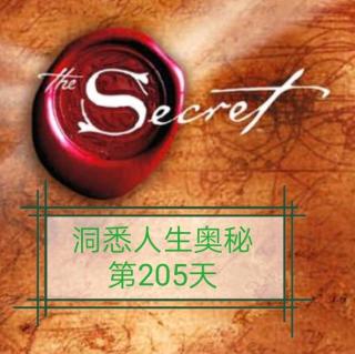 洞悉人生奥秘第205天