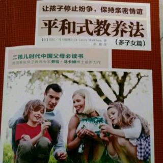 《平和式教养法》4.第二章：如何以平和的方式支持子女间的关系