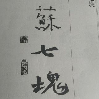 俗世奇人苏七块
