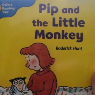 pip and the monkey