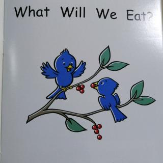 what will we eat