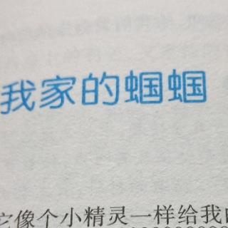 我家的蝈蝈