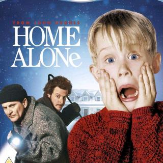 Home Alone D5