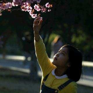 孙雨竹《海底两万里》第九章