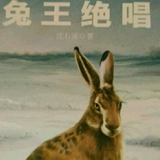 兔王🐰绝唱