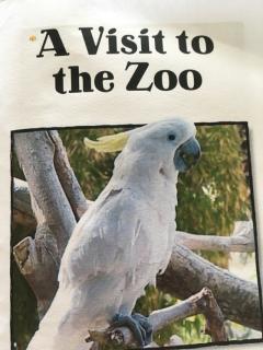 A visit to the zoo