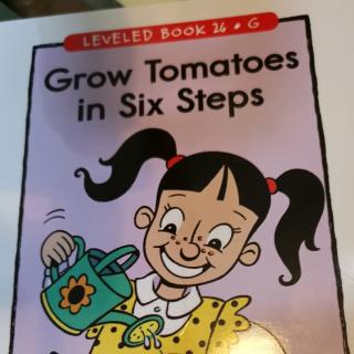 江尚玥-Grow Tomatoes in Six Steps