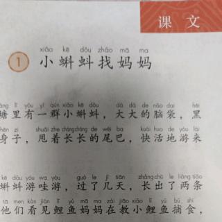 《小蝌蚪找妈妈》