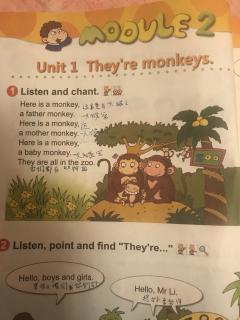 they are monkeys