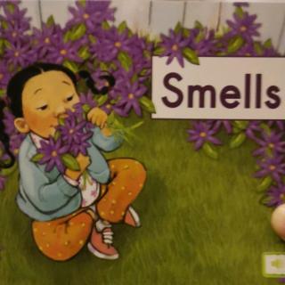 smells