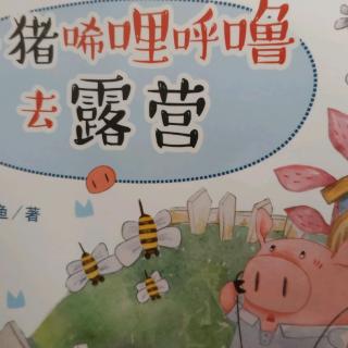 《小猪唏哩呼噜去露营》～1.唏哩呼噜呼的愿望