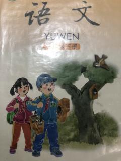 15 粘蝉老人