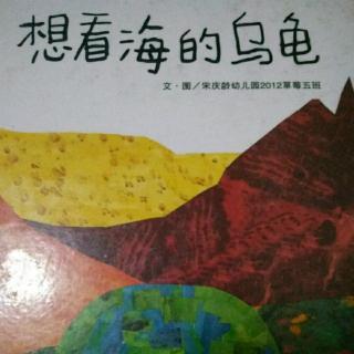 想看海的乌龟