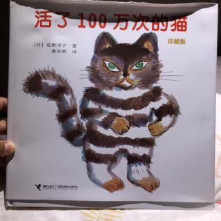 🐱活了100万次的猫🐱