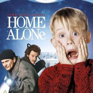 Home Alone D7
