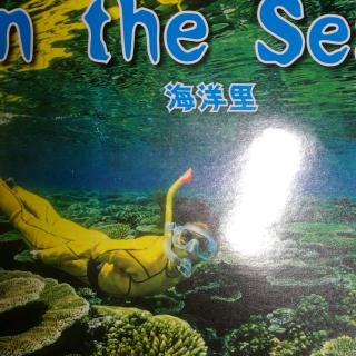 20190707远灏读书～小猪唏哩呼噜，in the sea