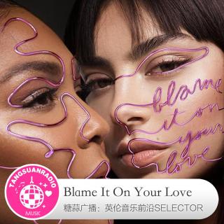  糖蒜爱音乐之The Selector：Blame It On Your Love 